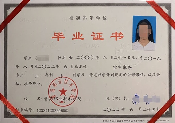 泰山青岛职业技术学院毕业证样本图片